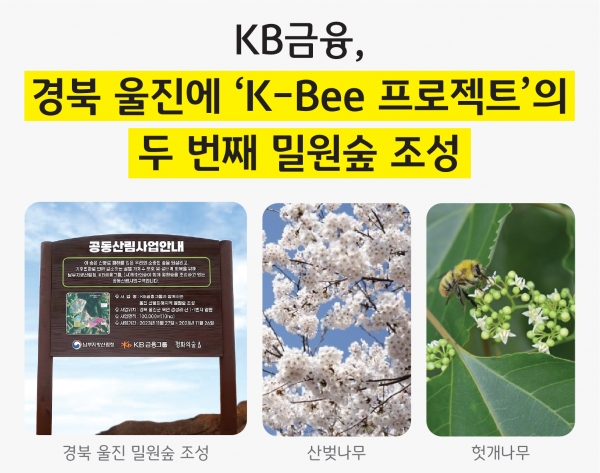 [사진자료] KB금융, 식목일을 맞아 경북 울진에 K-Bee 프로젝트의 두 번째 밀원숲 조성