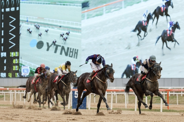 글로벌히트 YTN배 우승 장면. 사진=한국마사회